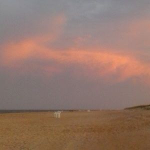 Meet your Posher, Kerri